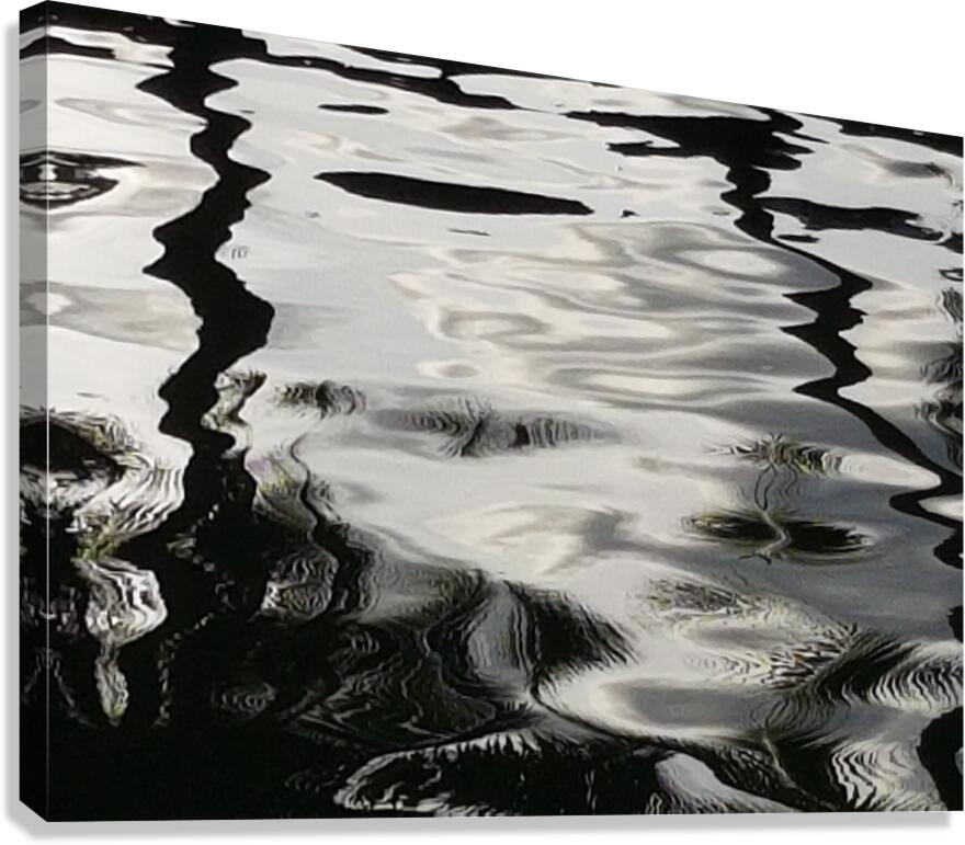 meander Canvas Print