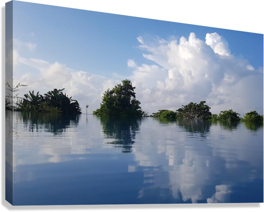 pool mirror Canvas Print