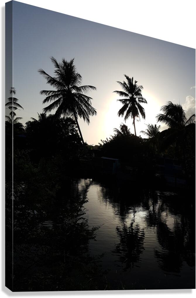 river at sunset Canvas Print