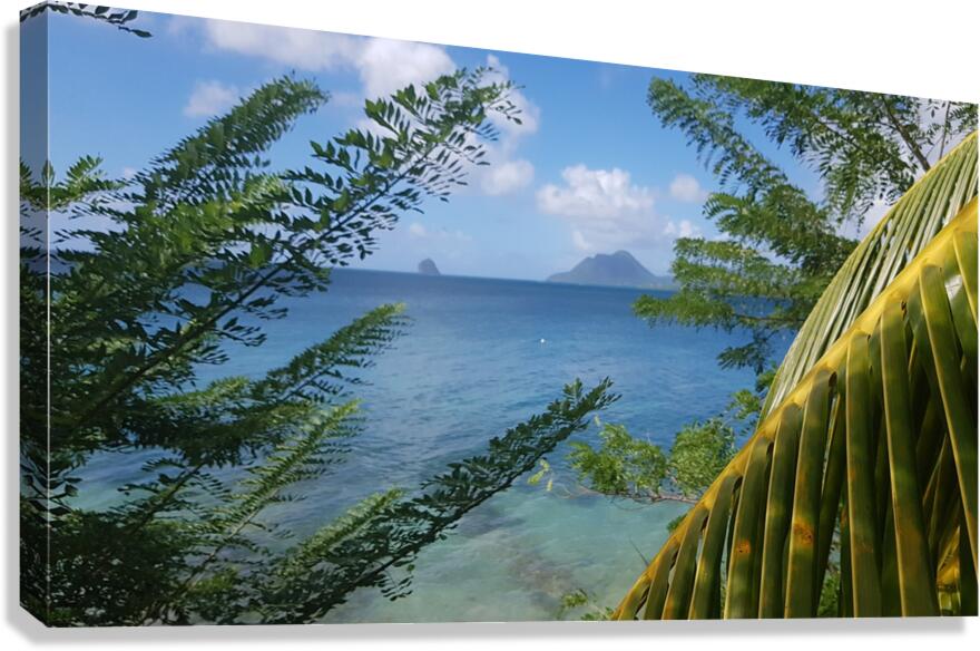 far away Canvas Print