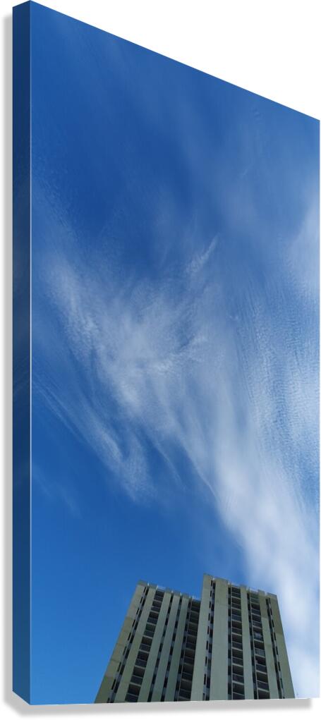 higher Canvas Print