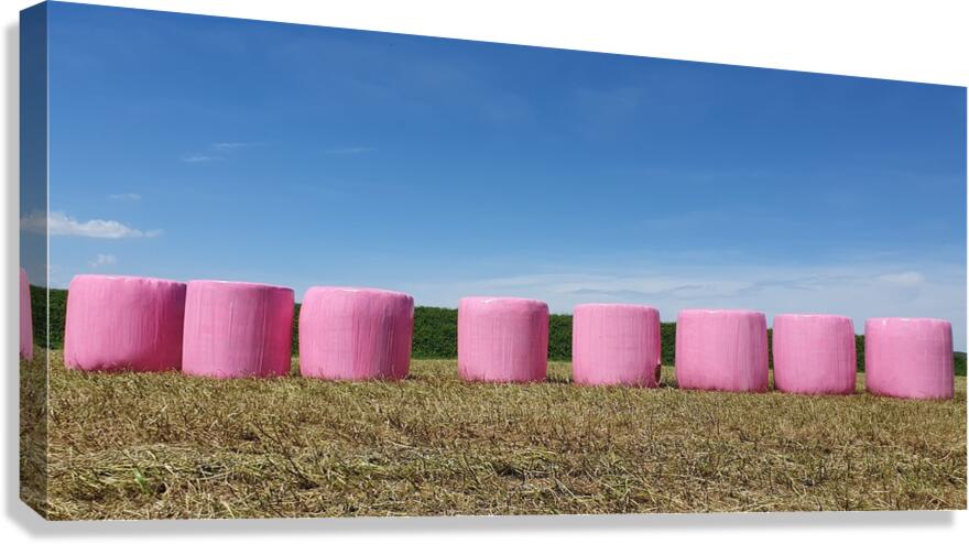 giant marshmallows Canvas Print