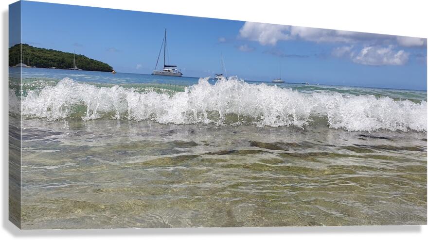 big wave Canvas Print