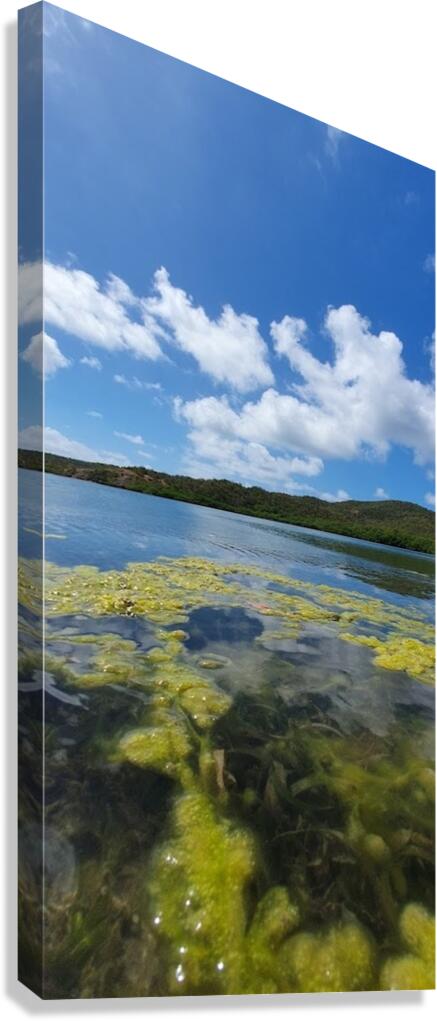 aquatic clouds Canvas Print