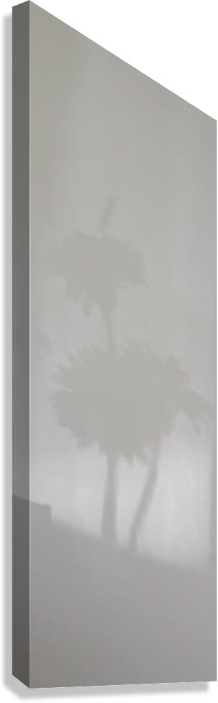 evocation Canvas Print