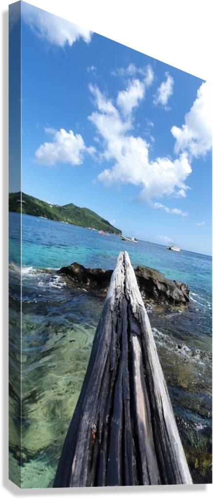 diving board Canvas Print