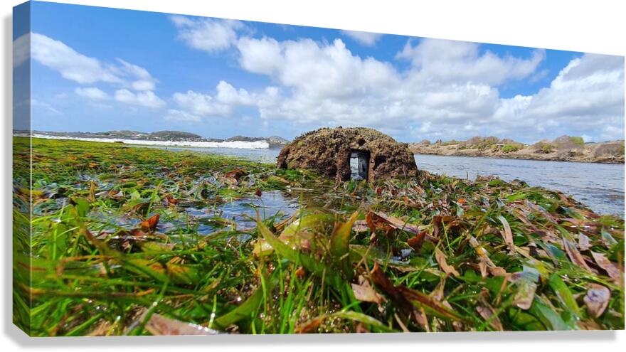low tide Canvas Print