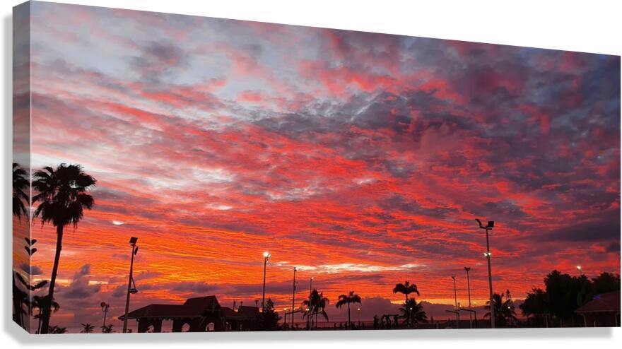 on fire Canvas Print