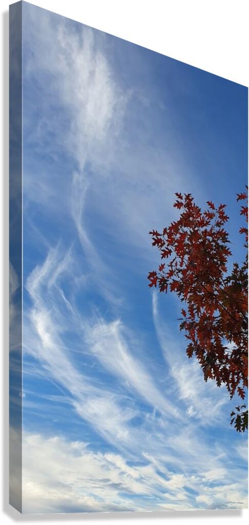 red and blue Canvas Print