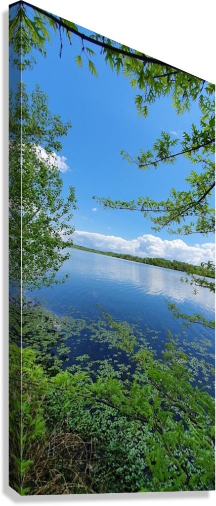 summer day Canvas Print