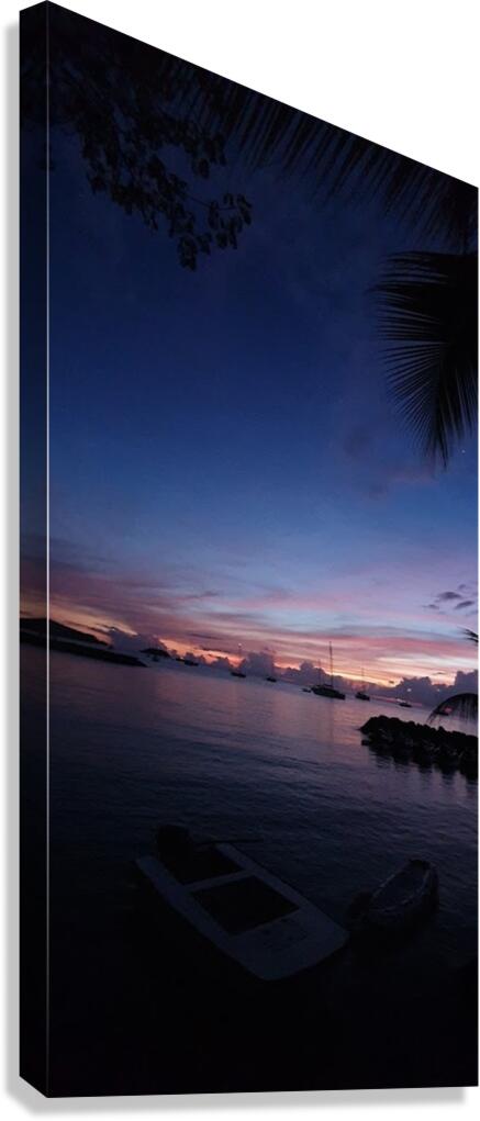 night docking Canvas Print