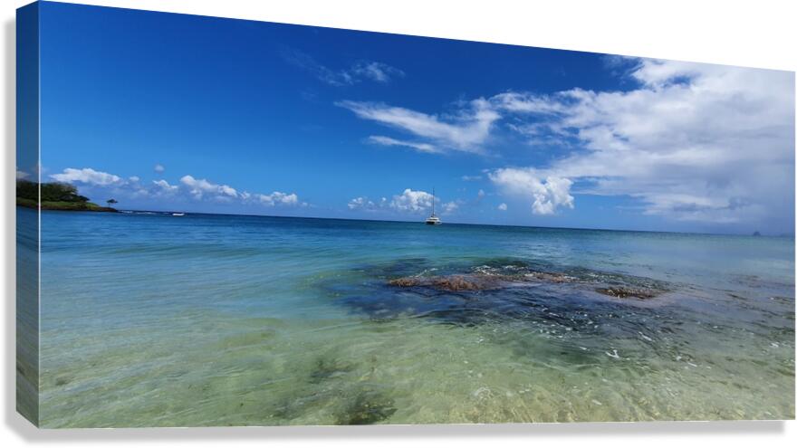 land in sight Canvas Print