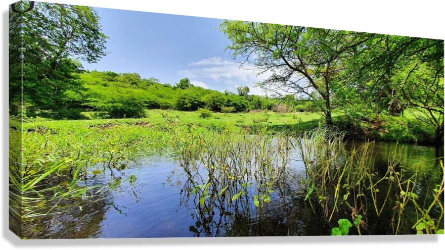 tranquility Canvas Print