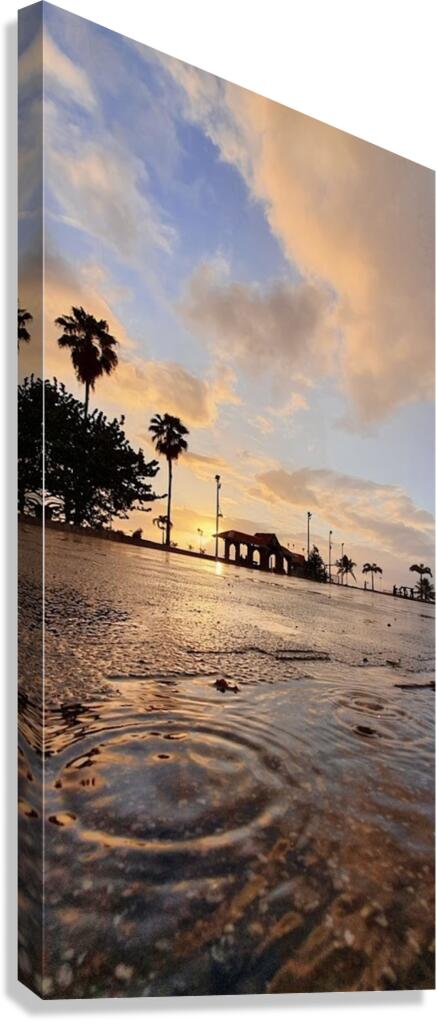 shock wave Canvas Print