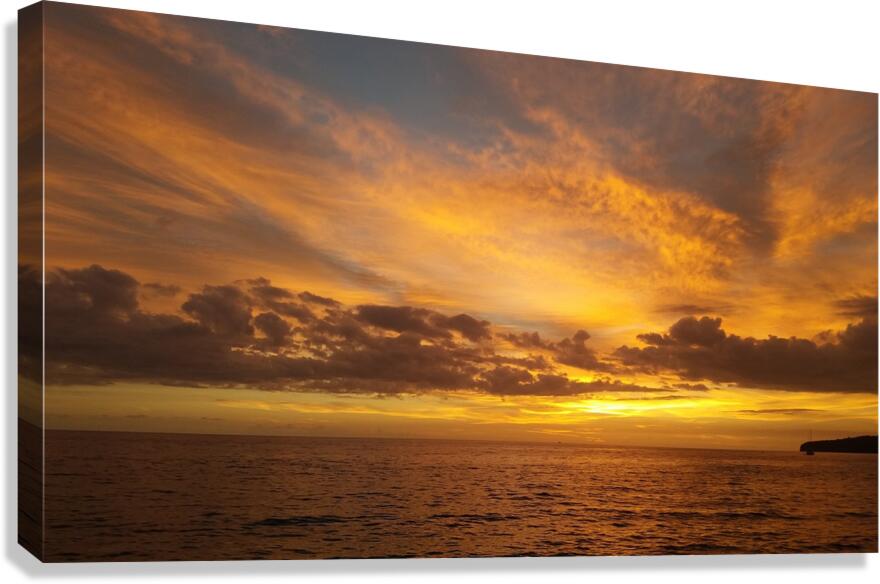 color palette Canvas Print