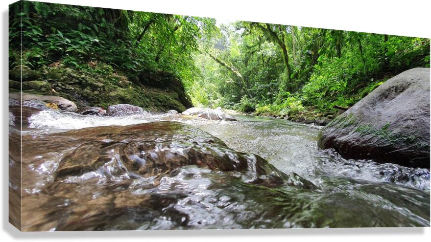 go down the river Canvas Print