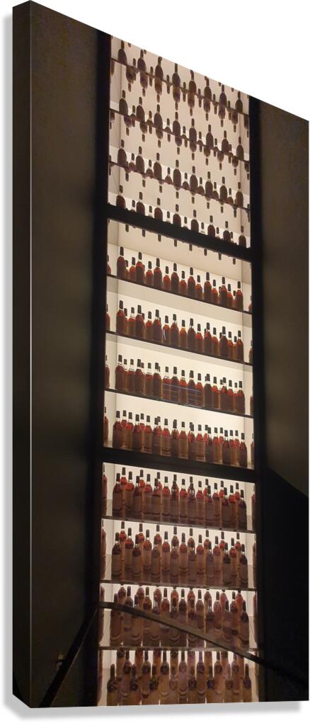 collection Canvas Print