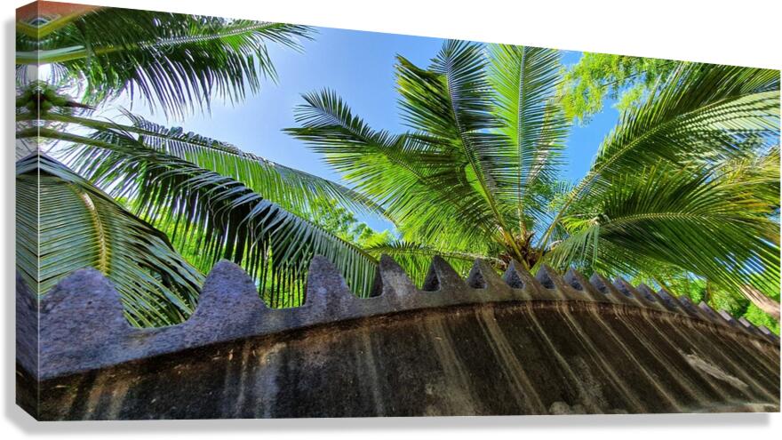 gear Canvas Print