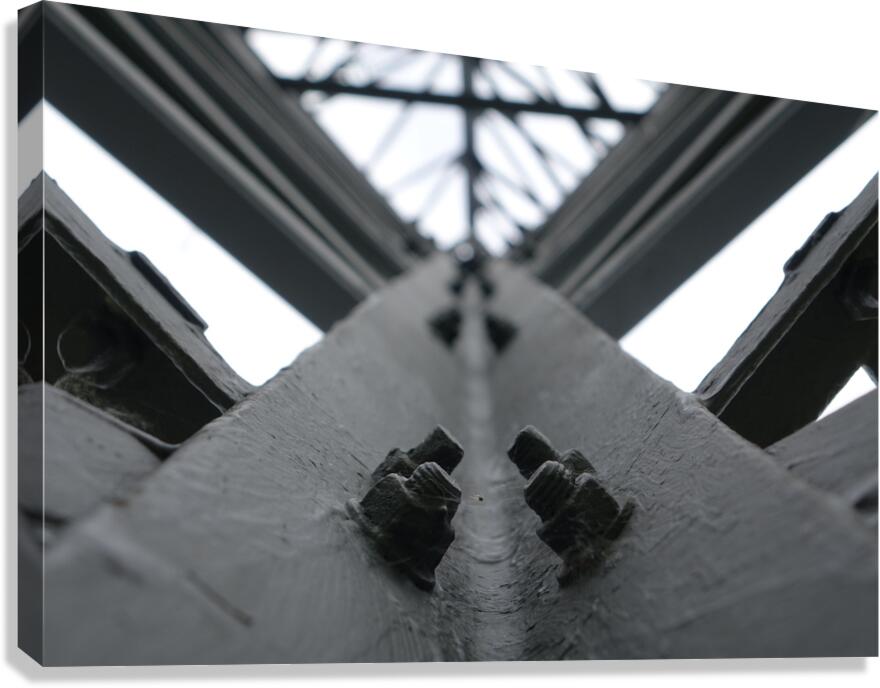 hold the structure Canvas Print