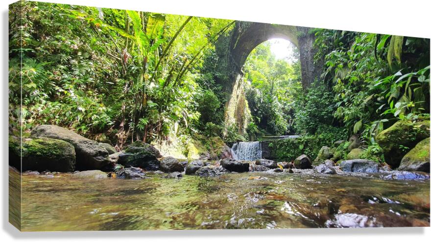 under the bridge Canvas Print