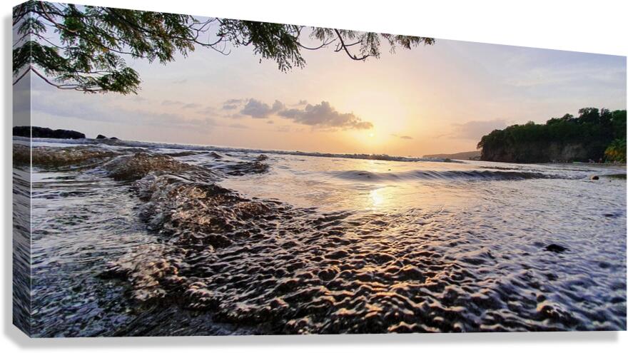 rising waters Canvas Print