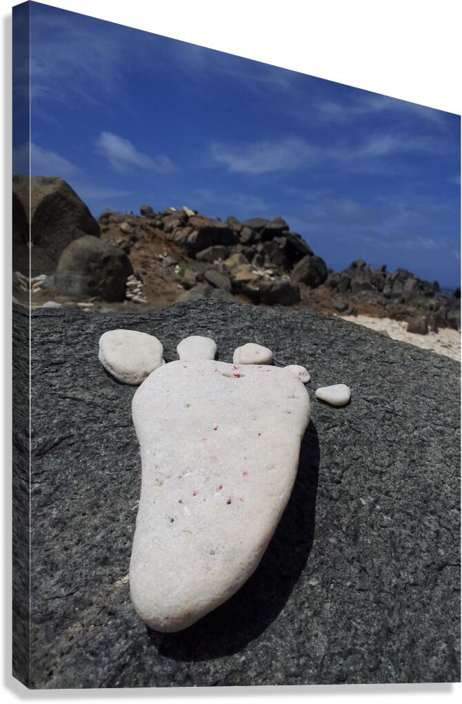 stone imprint Canvas Print