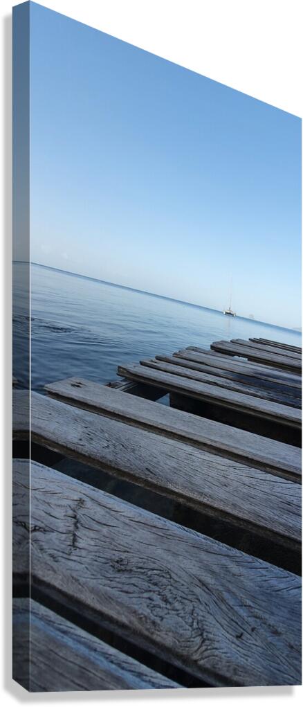 wait for docking Canvas Print