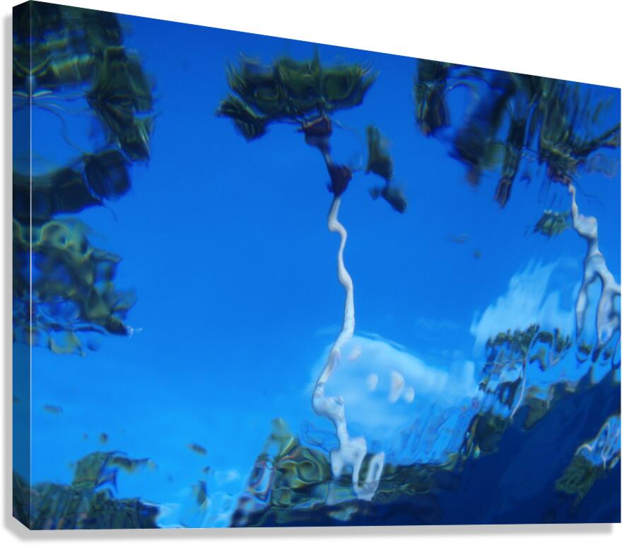look outside Canvas Print