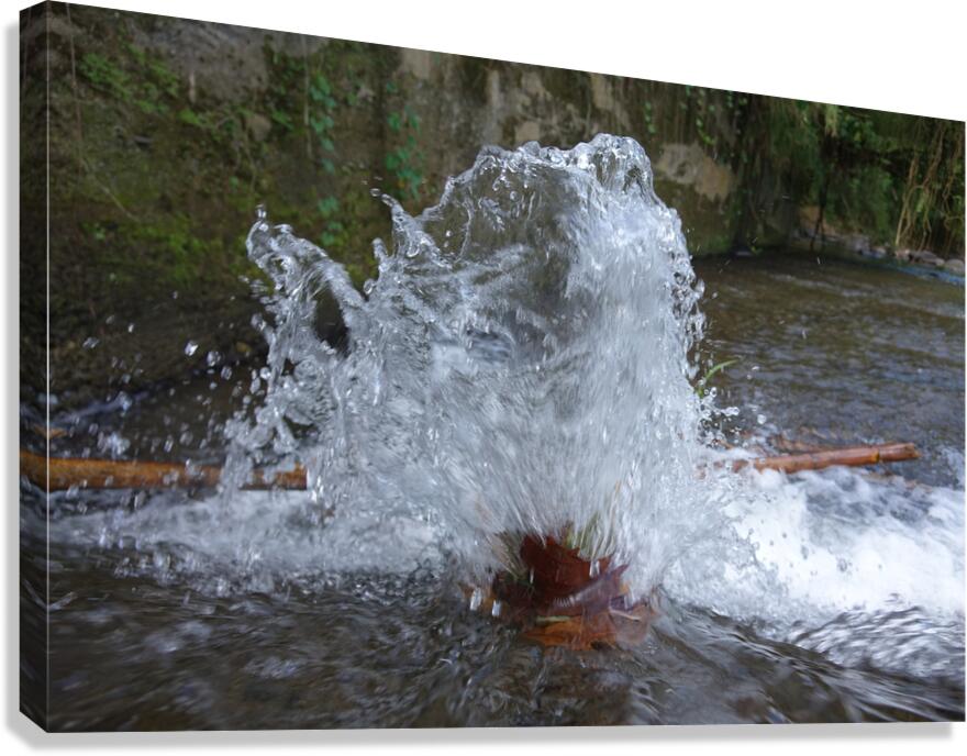 spatter Canvas Print