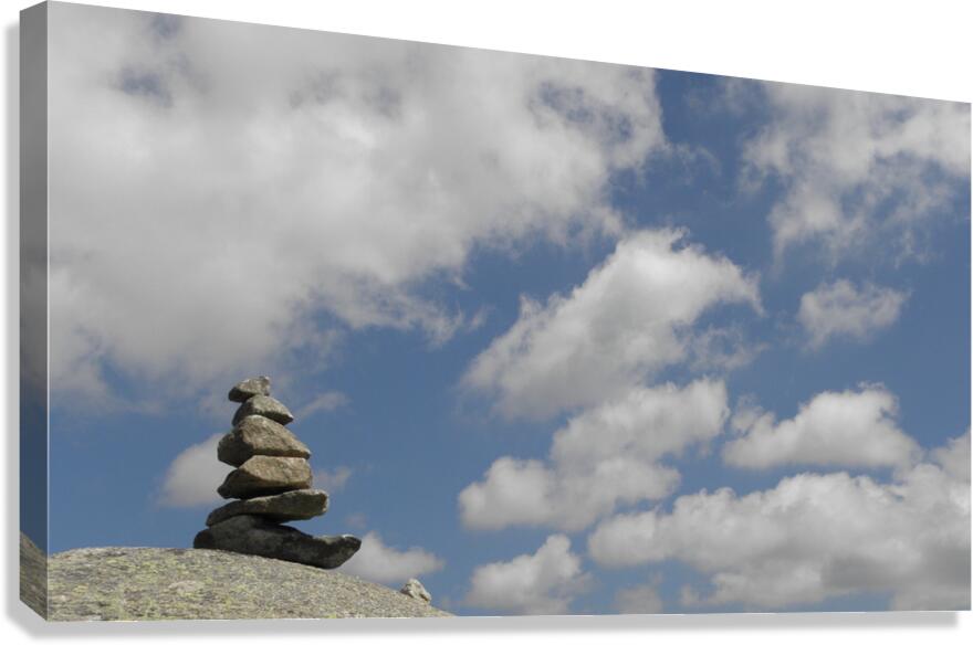 the thinker Canvas Print
