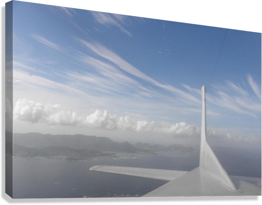 turn around Canvas Print