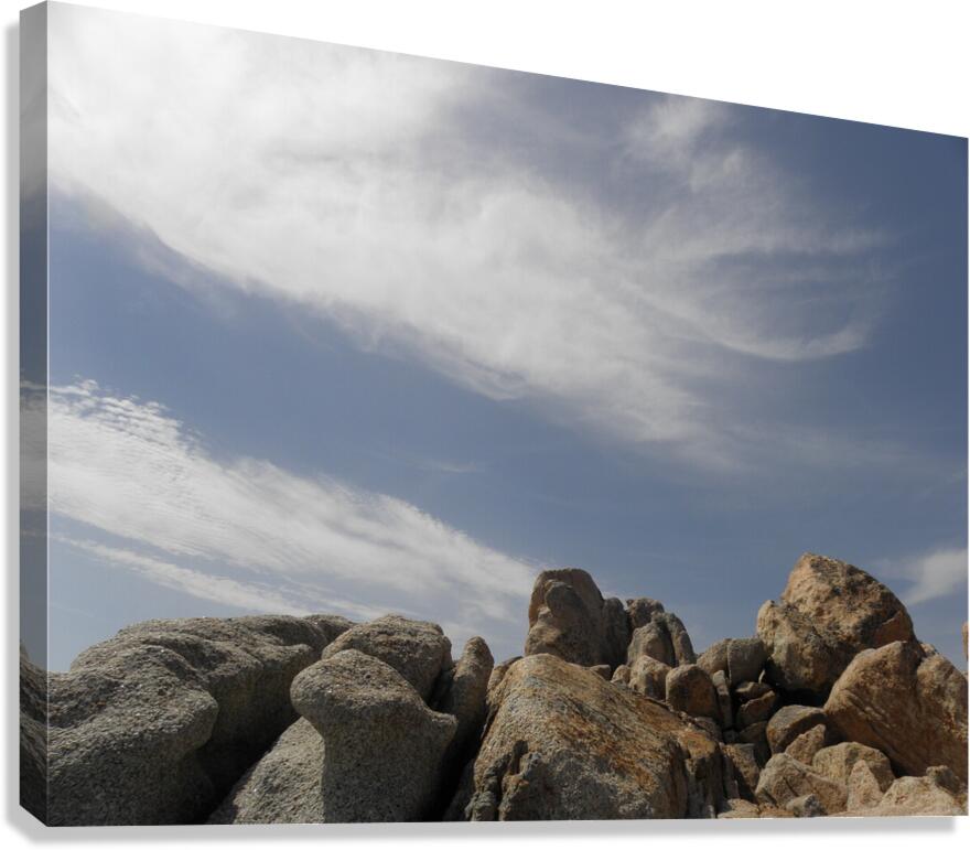 watch the clouds Canvas Print