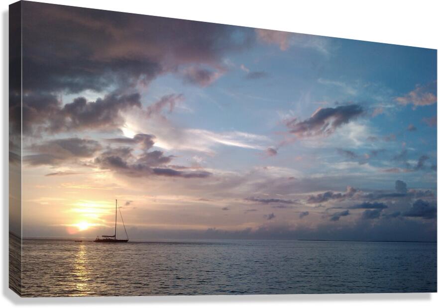 ydillic navigation Canvas Print