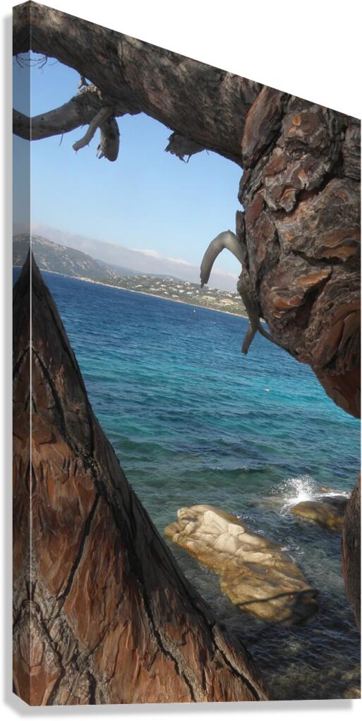 between the branches Canvas Print