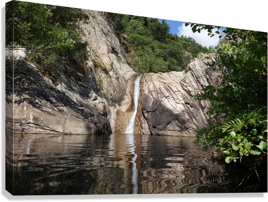 dream basin Canvas Print