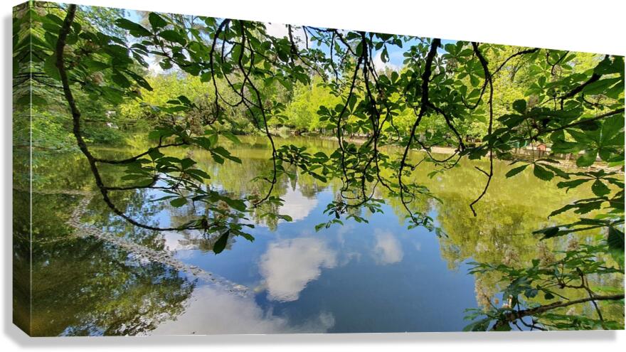 fullness Canvas Print
