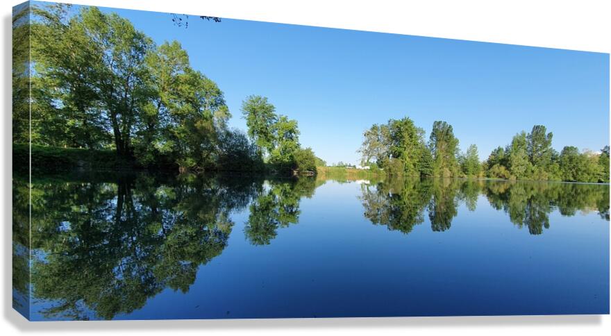 identical Canvas Print