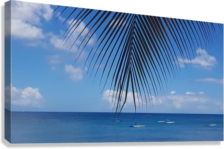 float in the wind Canvas Print