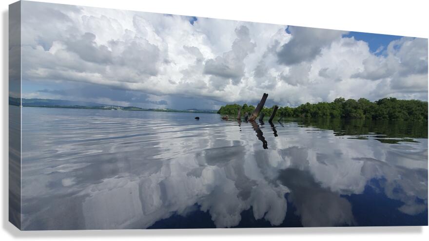 surrounded by clouds Canvas Print
