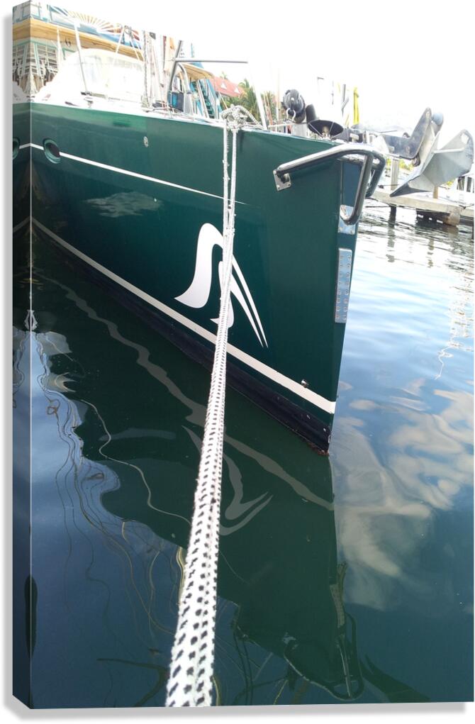 moored Canvas Print