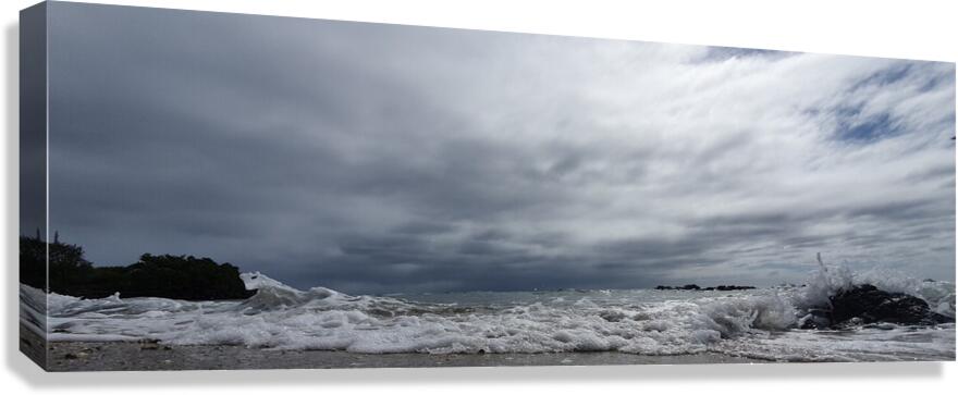 navy grayness Canvas Print
