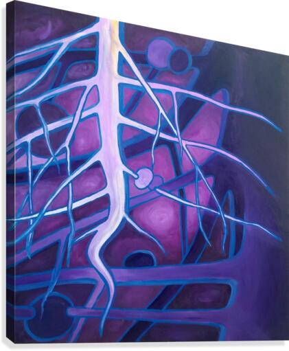 AsoRock1 Canvas Print