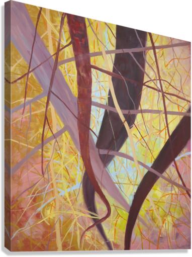 Fiesta7 Canvas Print