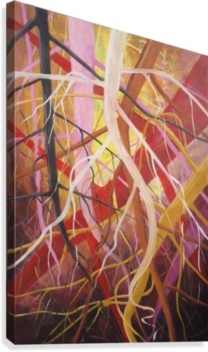 Fiesta5 Canvas Print