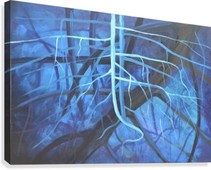 Fiesta3 Canvas Print