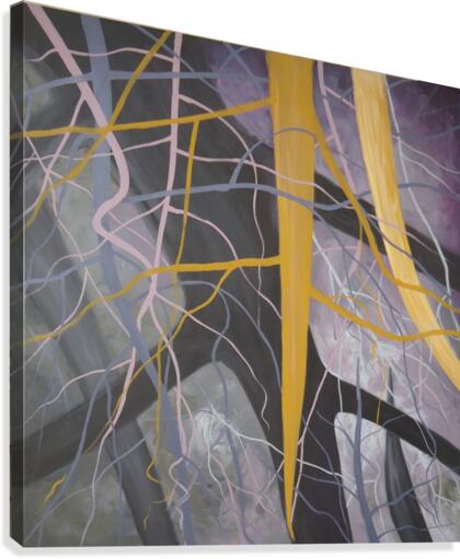 Fiesta8 Canvas Print