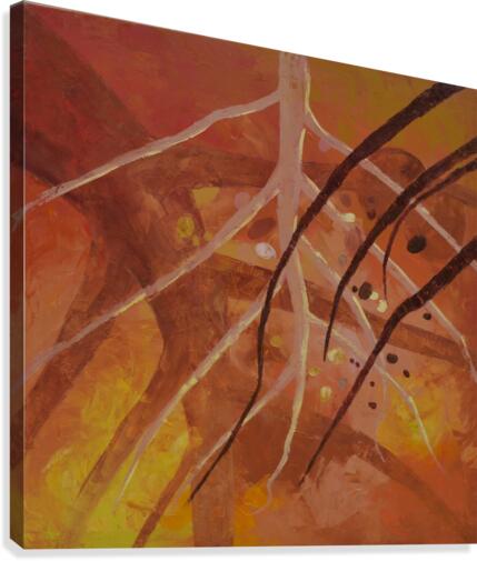 AsoRock3 Canvas Print