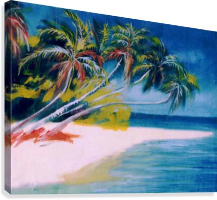 Beachside1 Canvas Print