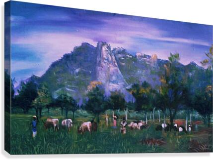 herdsCattle1 Canvas Print
