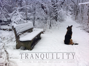 Tranquility